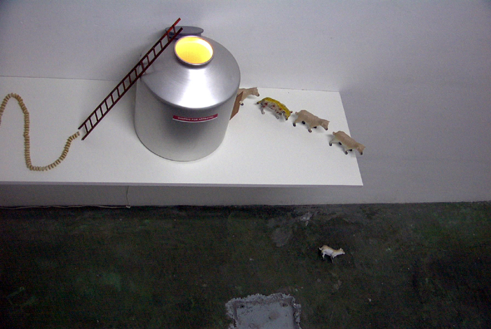 installation view Art Photo